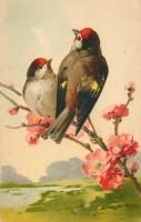 Открытка "Цветы и птицы 95 Catharina Klein"