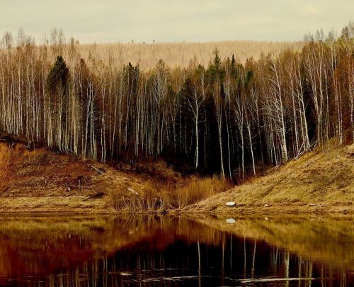 Фото - картина Берег реки ВЛАДИМИР КЛАВИХО-ТЕЛЕПНЕВ