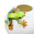 Ваза фарфоровая "Лягушка" зеленая RUPOR