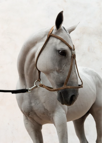 Художественная фотография "Open Camisa polo horse" IRINA KAZARIDI